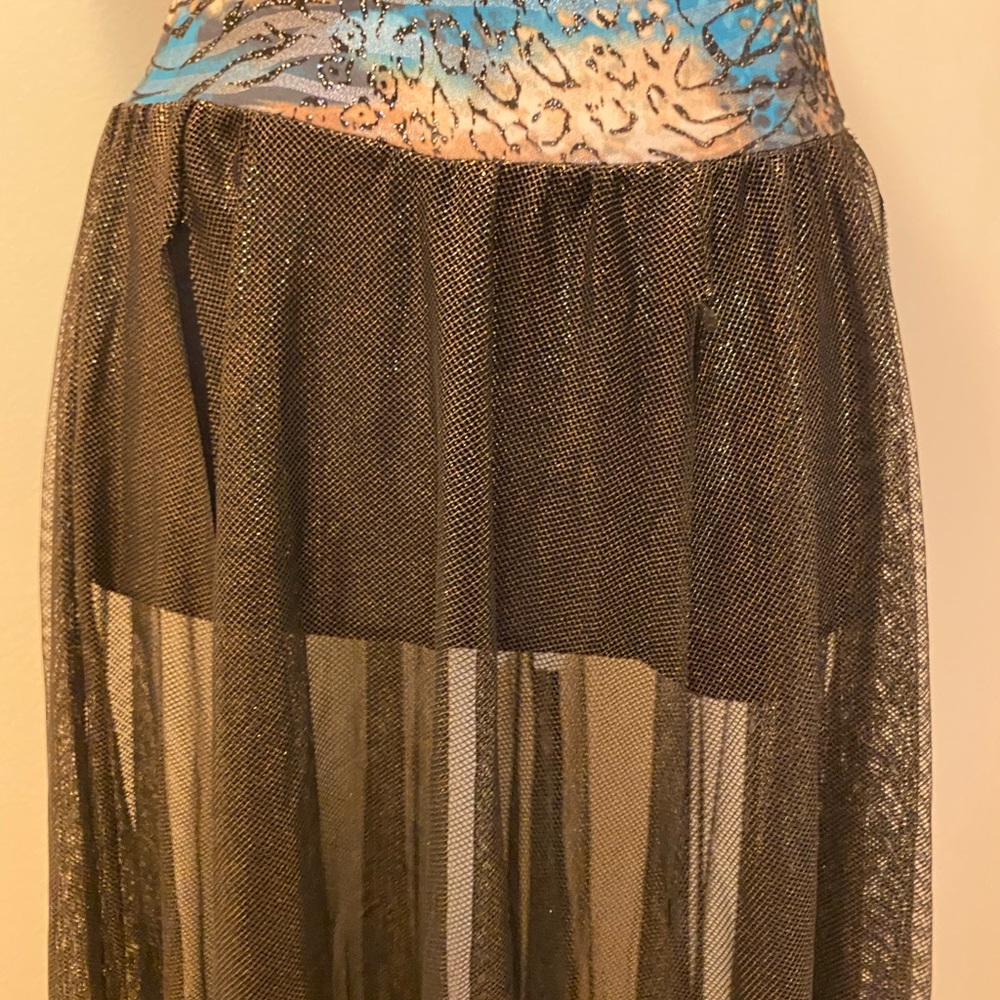 Costume Gallery Lyrical Dance - Picture 4 of 5
